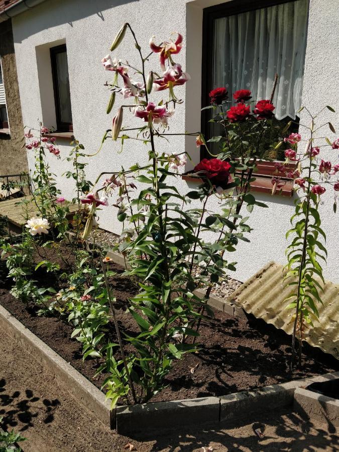 Gaestehaus Am Teich Raben Steinfeld Eksteriør billede